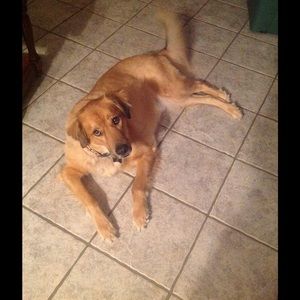 Meet your Posher, Sheryl