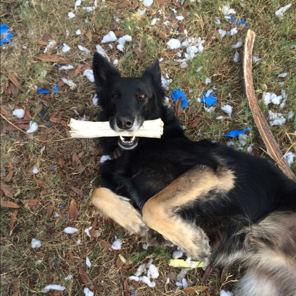 Meet your Posher, Vicki - Picture 1 of 1