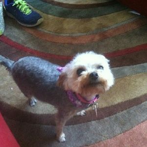 Meet your Posher, Paulette