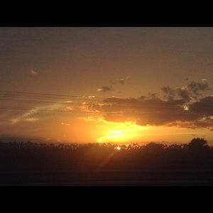 Meet your Posher, Luisa