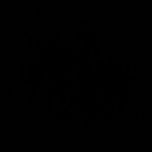 Meet your Posher, Lara