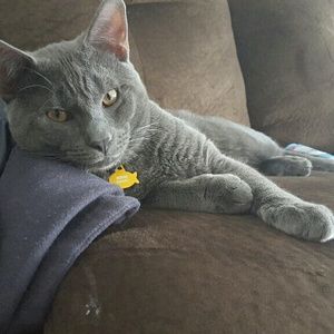 Meet your Posher, Briana