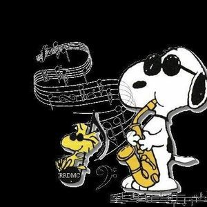 Meet your Posher, Paula