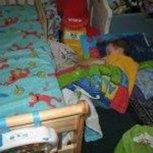 Meet your Posher, Daisy