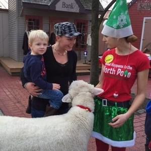 Meet your Posher, Vicki