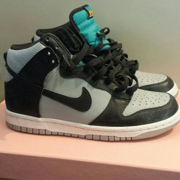 Nike Dunk High Tops -Youth 5