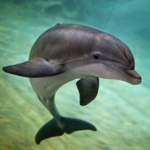 Meet your Posher, Leilani