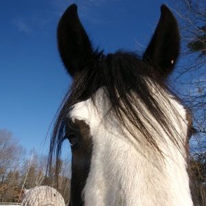 Meet your Posher, Gina