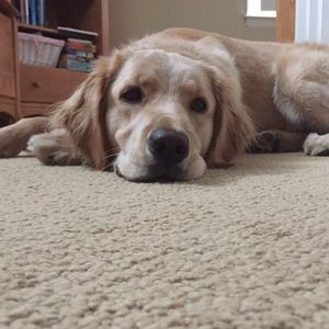 Meet your Posher, Lydia