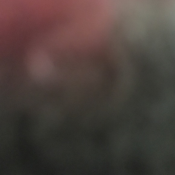 Meet your Posher, Brenda