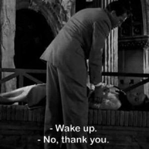 Meet your Posher, Leslie