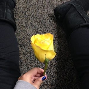 Meet your Posher, Ashley