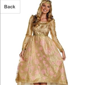 Princess Aurora from Maleficent Costume Dress