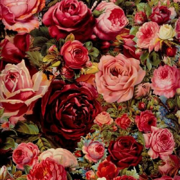 Meet your Posher, Misty - Picture 4 of 4