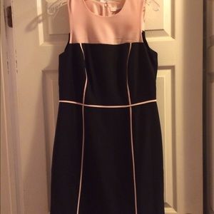 Ann Taylor Loft Dress