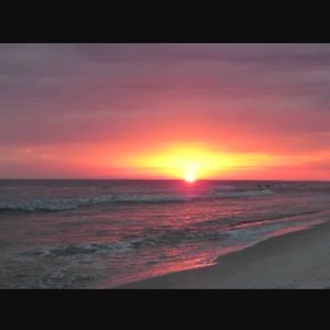 Meet your Posher, Callie