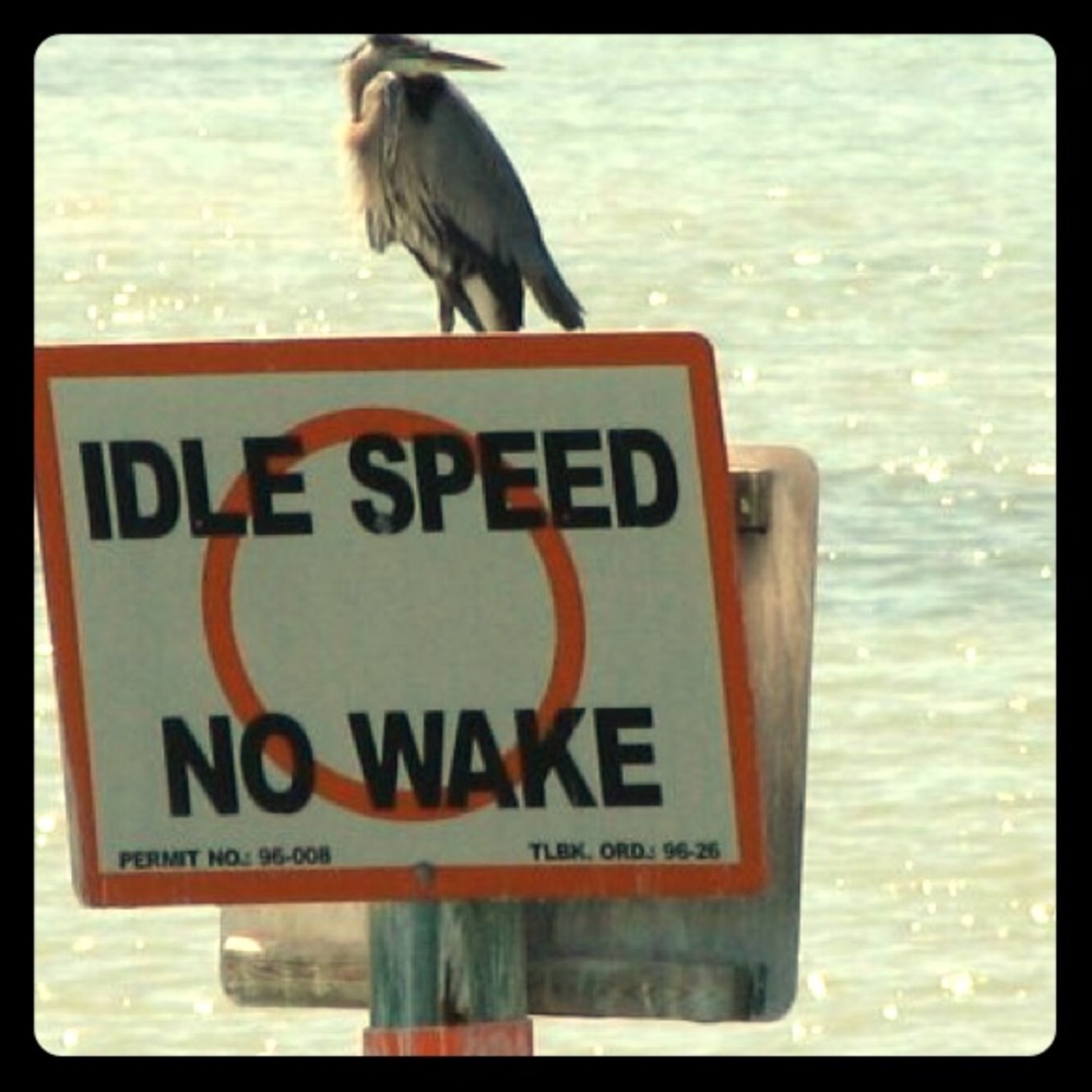 Meet your Posher, Lori