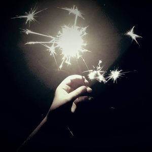 Meet your Posher, Brandy