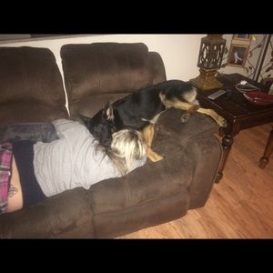 Meet your Posher, Charity