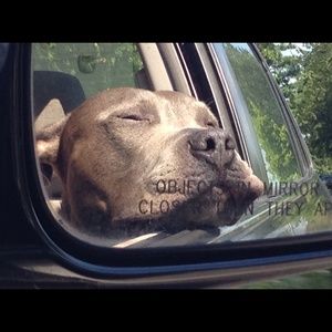 Meet your Posher, Sam