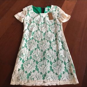 Francesca's Lace Dress