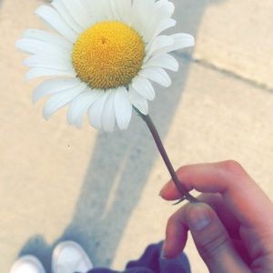 Meet your Posher, Desiree