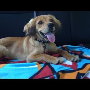 Meet your Posher, Eva