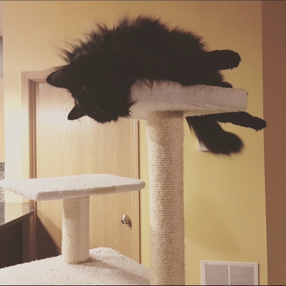 πΎπ FYI for Potential Buyers! ππΎ - Picture 2 of 2