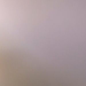 Meet your Posher, Layla