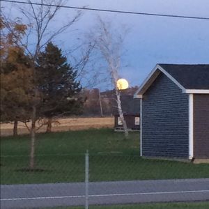 Meet your Posher, Micayla