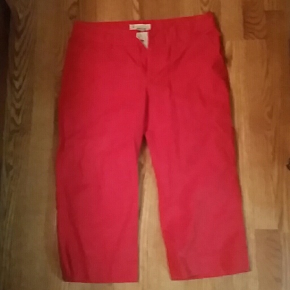 Gap chino pants