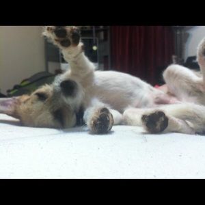 Meet your Posher, Nancy