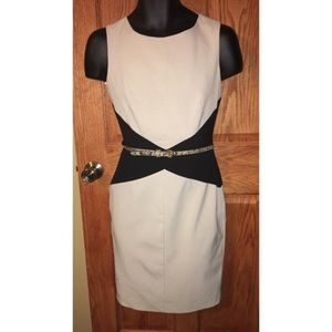 Calvin Klein taupe and black color block dress