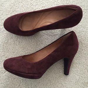 Brand new Clark's Pumps : Heels