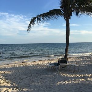 Meet your Posher, Phyllis