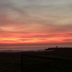 Meet your Posher, Gisela