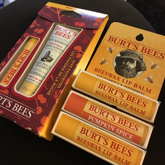 Burts Bees Other - NWT Burts Bees lip bundle