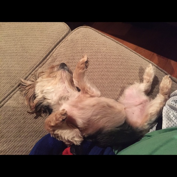 Meet your Posher, Chris - Picture 1 of 1