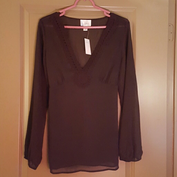 Sheer Brown Top
