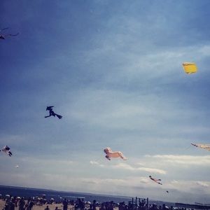 Meet your Posher, Alex