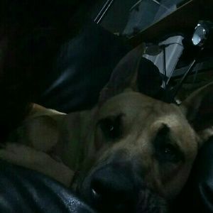 Meet your Posher, Mackenzie