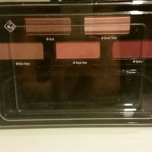 Blush with 4 small brushes. Never been used.