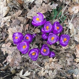 Meet your Posher, Kristen