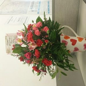 Meet your Posher, Holly