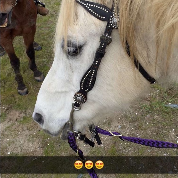 Meet your Posher, Aby - Picture 1 of 1