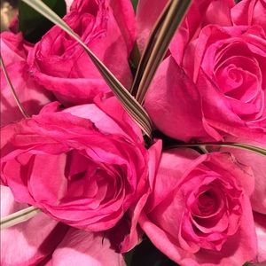 Meet your Posher, April