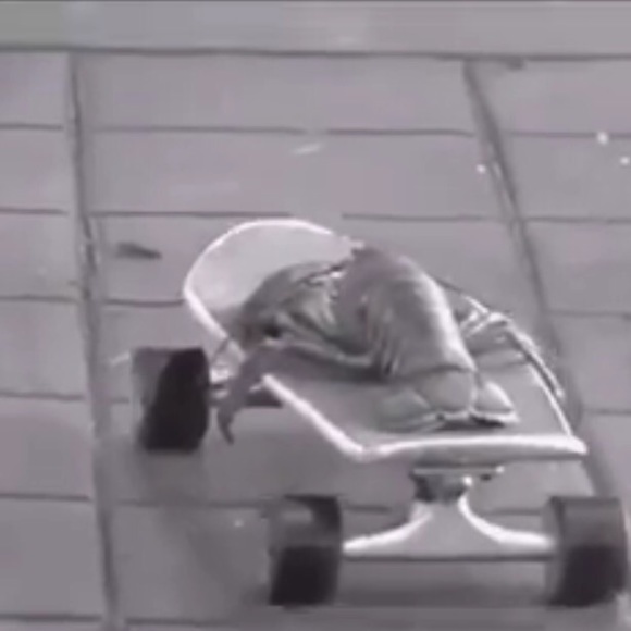 Meet your Posher, Annie - Picture 1 of 1