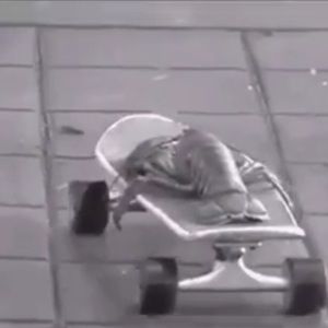 Meet your Posher, Annie