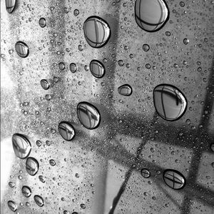 Meet your Posher, Ally