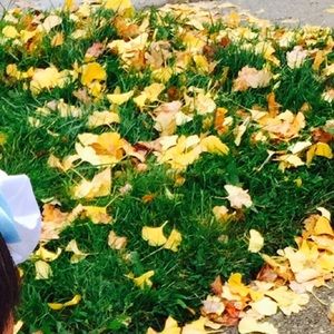 Meet your Posher, Ella